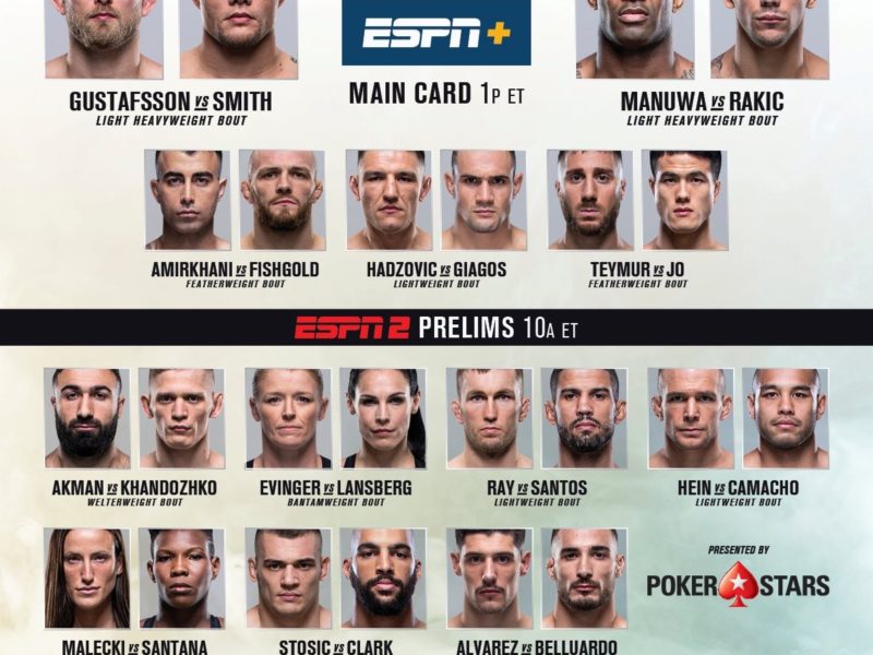 UFC Fight Night 153 Quick Results